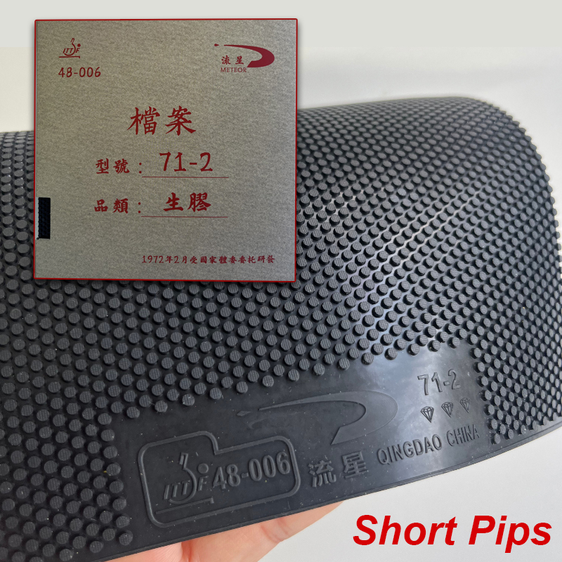 Meteor 71-2 Short Pips Table T - Table Tennis Rubber For Defensive Players review and price